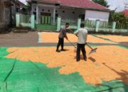 Dukung Ketahanan Pangan Nasional, Bhabinkamtibmas Desa O’o Pantau Penjemuran Jagung Warga