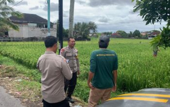 BHABINKAMTIBMAS DESA KESELET SAMBANGI LAHAN KETAHANAN PANGAN TANAMAN PADI