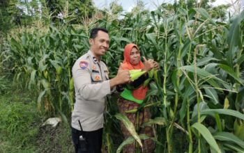 Bhabinkamtibmas Labuapi Dampingi Petani Optimalkan Lahan Tidur