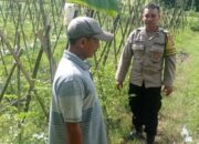 Bhabinkamtibmas Gerung Turun ke Sawah Motivasi Petani Aik Ampat