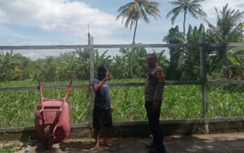 Polri Kawal Swasembada Pangan di Desa Kuranji