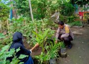 Bhabinkamtibmas Perampuan Gerakkan Program Pekarangan Bergizi di Labuapi