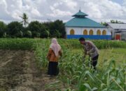 Sinergi Polsek Labuapi Dukung Swasembada Pangan di Desa