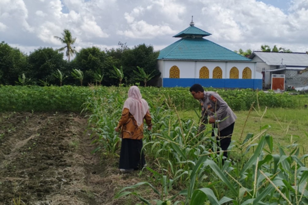 Sinergi Polsek Labuapi Dukung Swasembada Pangan di Desa