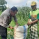 Kawal Ketahanan Pangan Nasional, Personel Polsek Labuapi Dampingi Petani Bagik Polak Barat di Sawah