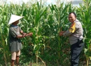 Strategi Cerdas Bhabinkamtibmas Desa Bagik Polak Barat: Ubah Lahan Tidur Jadi Sumber Pangan Produktif