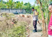 Manfaat Budidaya Tanaman Palawija di Lahan Pekarangan