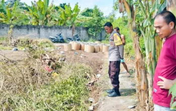Manfaat Budidaya Tanaman Palawija di Lahan Pekarangan