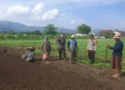 Bukan Sekadar Patroli: Aksi Nyata Polsek Gerung Dampingi Petani Lombok Barat Olah Lahan Produktif