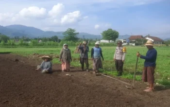 Bukan Sekadar Patroli: Aksi Nyata Polsek Gerung Dampingi Petani Lombok Barat Olah Lahan Produktif