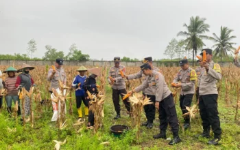 Strategi Cerdas Polres Lombok Barat: Amankan Rantai Distribusi Panen Jagung