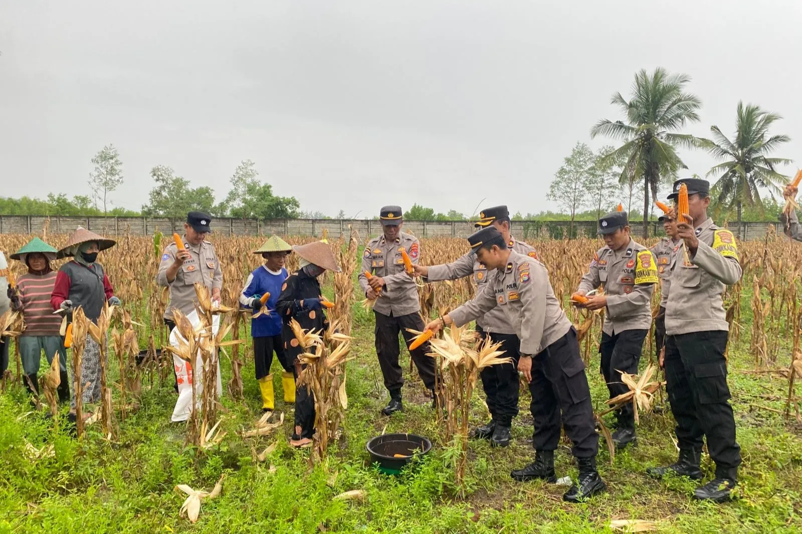 Strategi Cerdas Polres Lombok Barat: Amankan Rantai Distribusi Panen Jagung