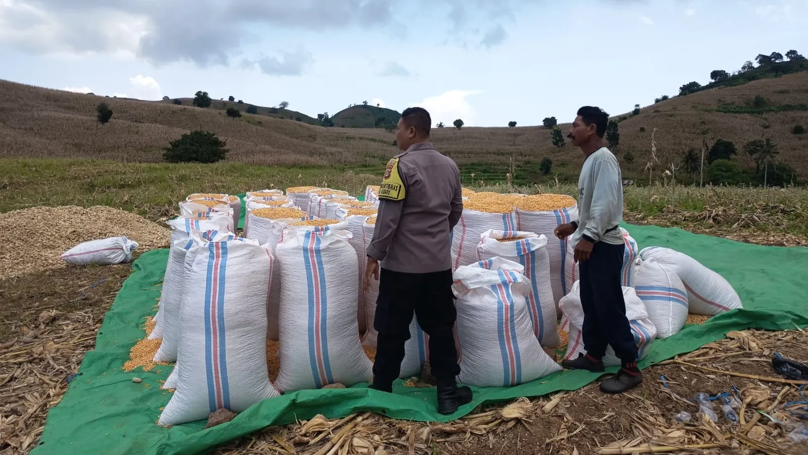 Polsek Sekotong Kawal Petani Kedaro, Pastikan Stok Pangan Nasional Aman Lewat Sinergi Door to Door