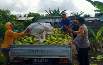 Langkah Nyata Polri di Lombok Barat: Jamin Kelancaran Rantai Pasok Pangan dari Desa ke Pasar
