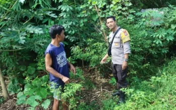 Bhabinkamtibmas Labuapi Dampingi Petani Kelola Lahan Produktif