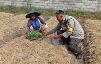 Transformasi Peran Polri, Kawal Ketahanan Pangan Nasional dari Hulu Hingga Hilir di Lombok Barat