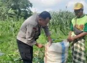 Upaya Polri Wujudkan Ketahanan Pangan Nasional di Desa