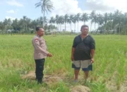 Aksi Humanis Bhabinkamtibmas Gerung Bantu Petani Optimalkan Lahan Jagung