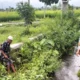 Polsek Labuapi Turun ke Sawah, Pastikan Petani Merasa Aman Saat Garap Lahan