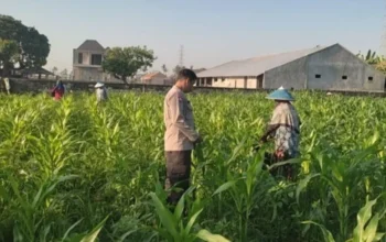 Strategi Polres Lombok Barat Optimalkan Lahan Desa Kuranji Dalang