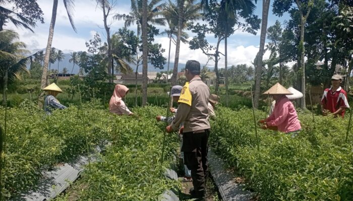 Bhabinkamtibmas Desa Kesik Cek Lahan Ketahanan Pangan di Dusun Munsok, Dukung Program Pemerintah