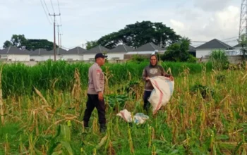 Sinergi Polri dan Petani: Strategi Polsek Labuapi Perkuat Ketahanan Pangan di Desa Karang Bongkot