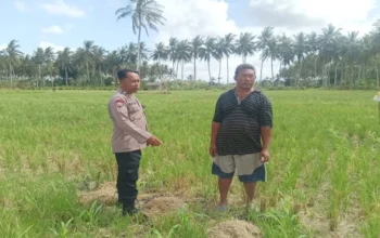 Transformasi Pekarangan Jadi Sumber Pangan, Langkah Strategis Polri Dampingi Petani di Kabupaten Lombok Barat