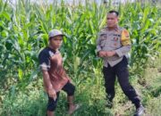 Transformasi Peran Polri: Strategi Polsek Labuapi Pastikan Lahan Produktif dan Kesejahteraan Petani Terjamin