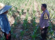 Polri Perkuat Ketahanan Pangan di Labuapi Lombok Barat