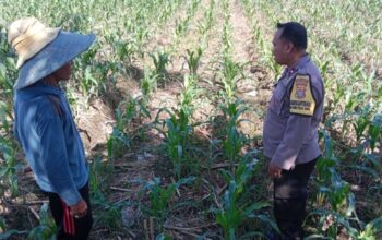 Polri Perkuat Ketahanan Pangan di Labuapi Lombok Barat