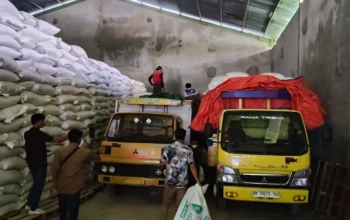 Penyerapan Jagung Petani Desa Kedaro Capai 20 Ton, Polsek Sekotong Kawal Ketahanan Pangan Nasional