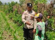 Bhabinkamtibmas Desa Labuapi Turun ke Sawah, Ubah Lahan Kosong Jadi Lumbung Pangan Mandiri