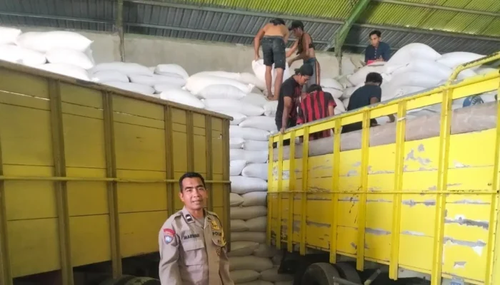 Sinergi Polri dan Petani, Distribusi Jagung Pipilan ke Gudang Bulog Gelogor Demi Ketahanan Pangan