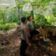 **Bhabinkamtibmas Desa Lamusung Dampingi Warga Kelola Lahan Pangan Bergizi**