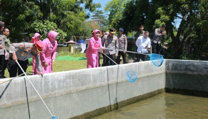 Kapolda NTB Pimpin Panen Ikan di SPN Belanting, Dukung Program Ketahanan Pangan Nasional