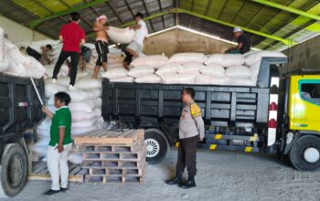 Petani Mareje Timur Tembus Standar Bulog, Bhabinkamtibmas Turun Tangan Kawal Logistik