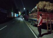 Pantauan Terkini di Pelabuhan Lembar: Arus Pengiriman Ternak Sapi Menuju Pulau Jawa Dipastikan Tetap Lancar dan Terkendali