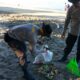 Polri dan Muspika Sulap Wajah Pantai Locco Senggigi Jadi Lebih Asri Pagi Ini