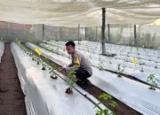 Bhabinkamtibmas Desa Kumbang Intensifkan Silaturahmi dan Monitoring Ketahanan Pangan