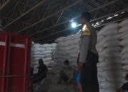 Update Distribusi Jagung Poktan Bina Karya ke Gudang Bulog