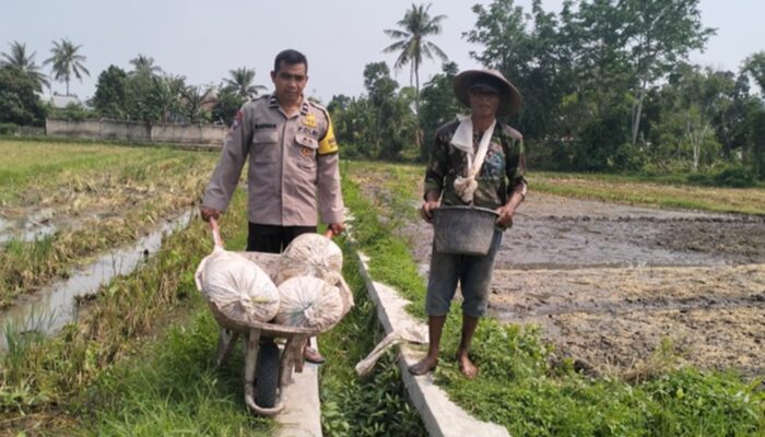 Sinergi Polsek Labuapi dan Petani Jaga Ketahanan Pangan