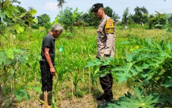 Polri Kawal Ketahanan Pangan Nasional di Desa Labuapi
