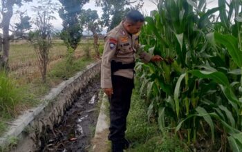 Cara Polsek Labuapi Jaga Ketahanan Pangan Nasional