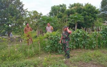 TNI-Polri Lombok Barat Dampingi Petani Karang Bongkot