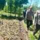 Kapolsek Sakra Monitoring Lahan Jagung di Desa Sakra, Berikan Edukasi Perawatan Tanaman kepada Petani