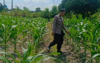 Polri Perkuat Pekarangan Bergizi di Desa Perampuan