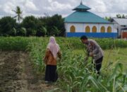 Strategi Polsek Labuapi Dorong Kemandirian Pangan Lewat Pekarangan