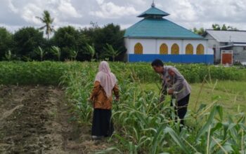 Strategi Polsek Labuapi Dorong Kemandirian Pangan Lewat Pekarangan