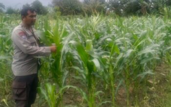 Polri Kawal Kemandirian Pangan Nasional di Desa Bagik Polak