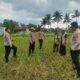 Waka Polres Lombok Tengah Mengecek Lahan Jagung di Dusun Arjangka Kecamatan Pringgarata